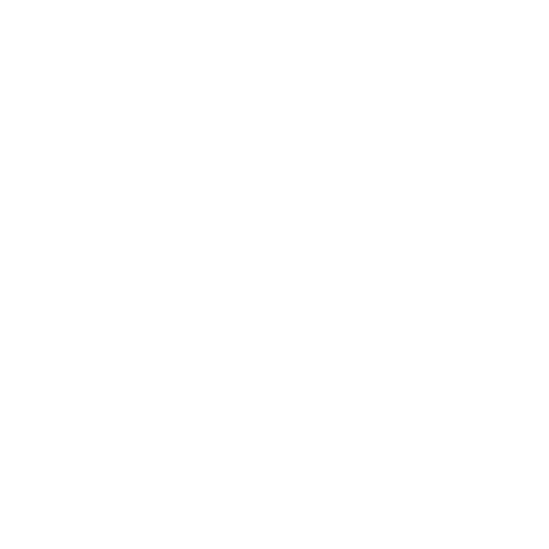 Segway Quads